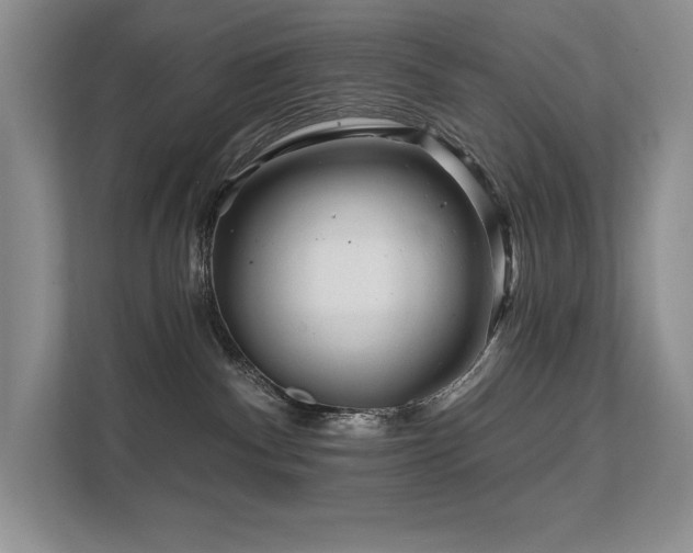 X0000111670140200907171621