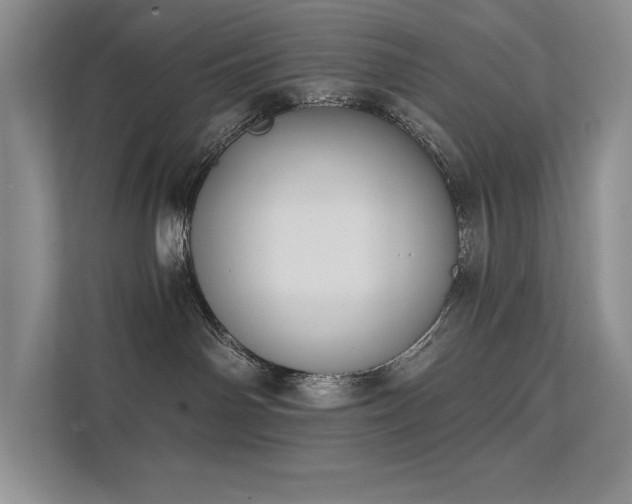 X0000111670142200907171621