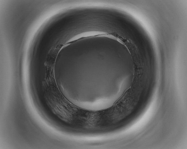 X0000111670143200907171621