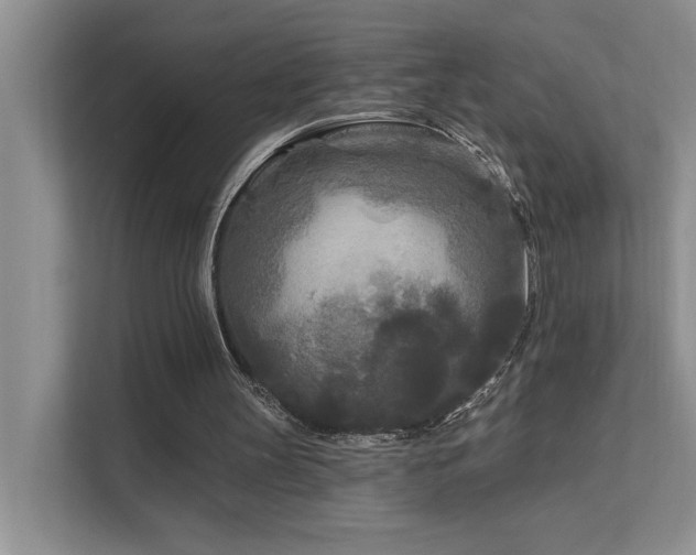 X0000111670147200907171620