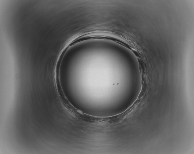 X0000111670148200907171620