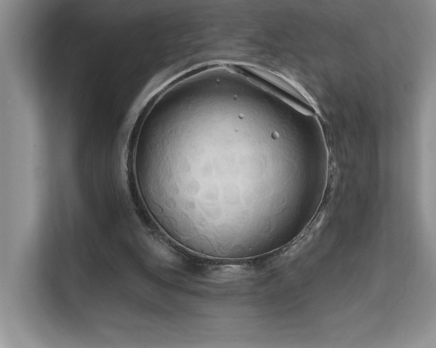 X0000111670151200907171620