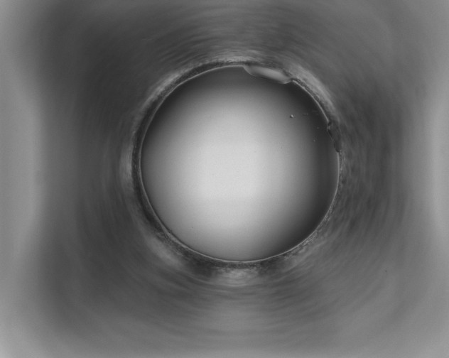 X0000111670155200907171620