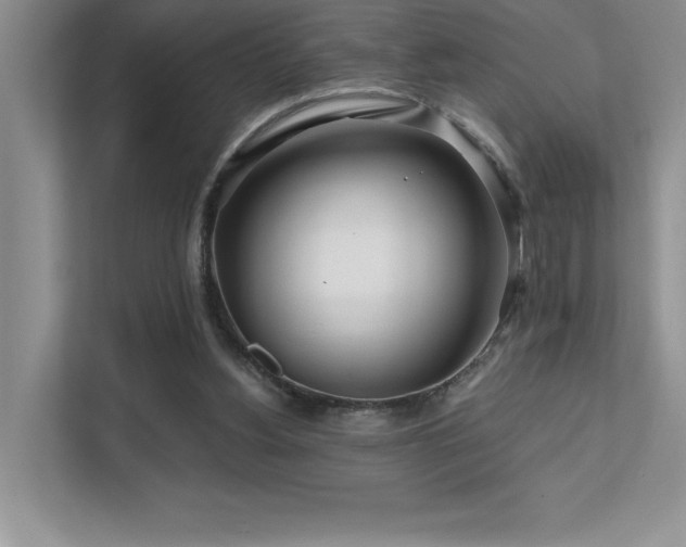 X0000111670156200907171621