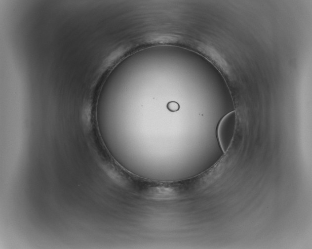 X0000111670159200907171621