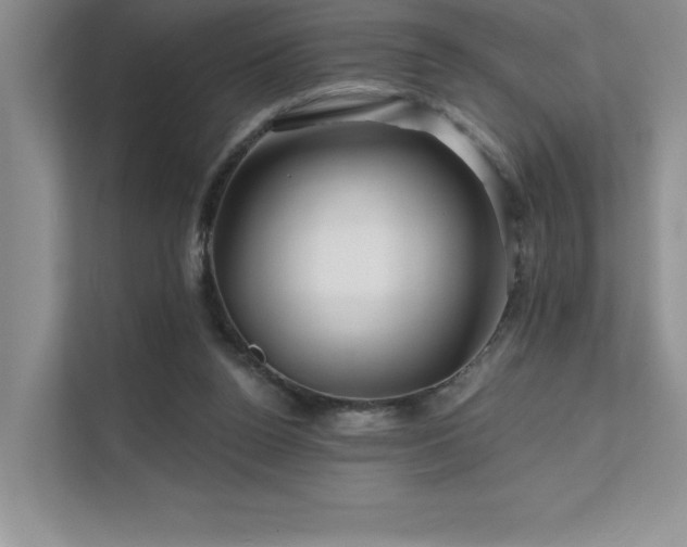 X0000111670160200907171621