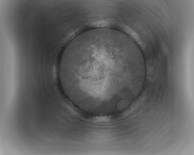 X0000111670161200907171621