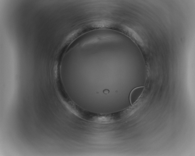 X0000111670163200907171621