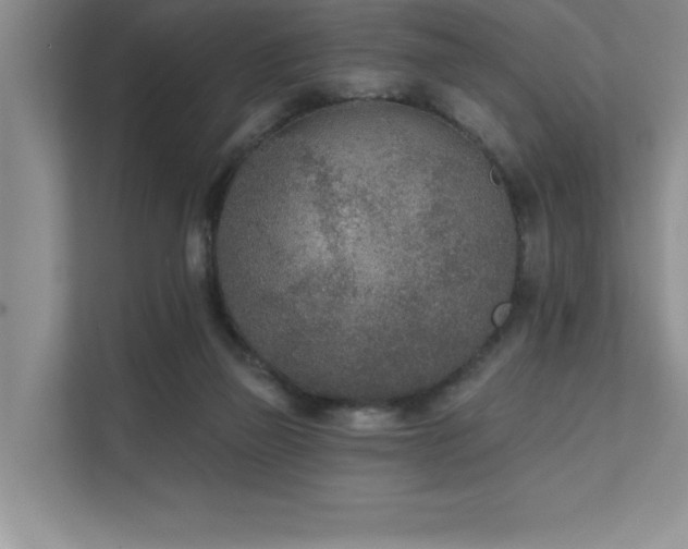 X0000111670165200907171621