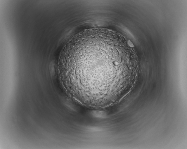 X0000111670169200907171621