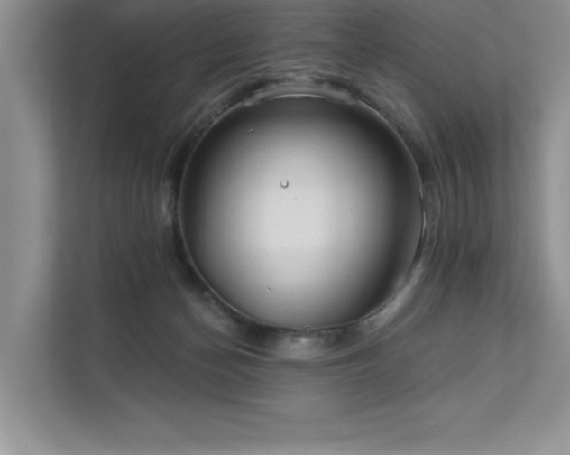 X0000111670174200907171621