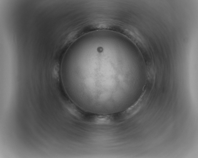 X0000111670175200907171621