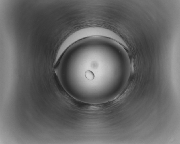 X0000111670176200907171621