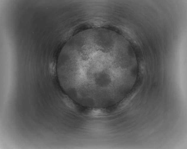 X0000111670177200907171621