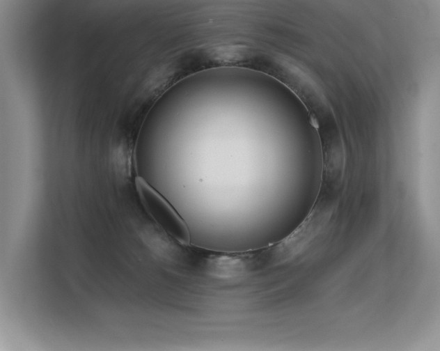 X0000111670180200907171621