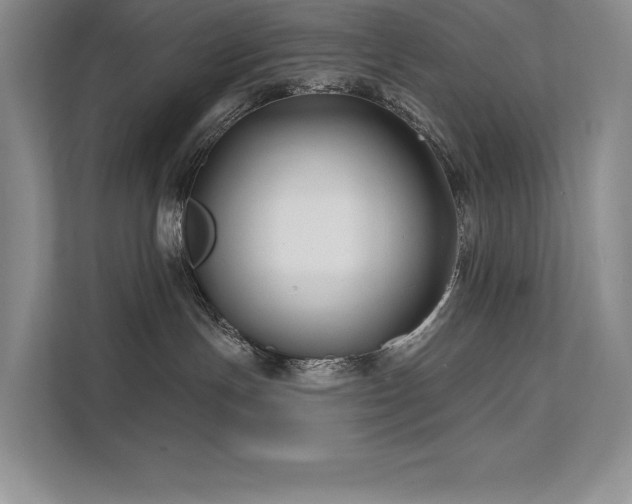 X0000111670191200907171621