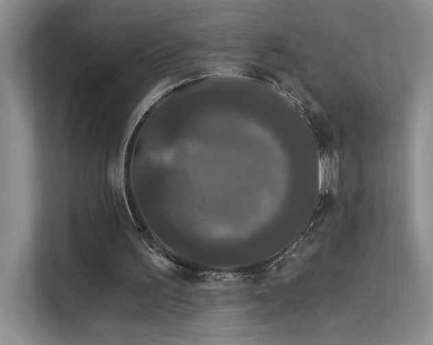 X0000111670195200907171620