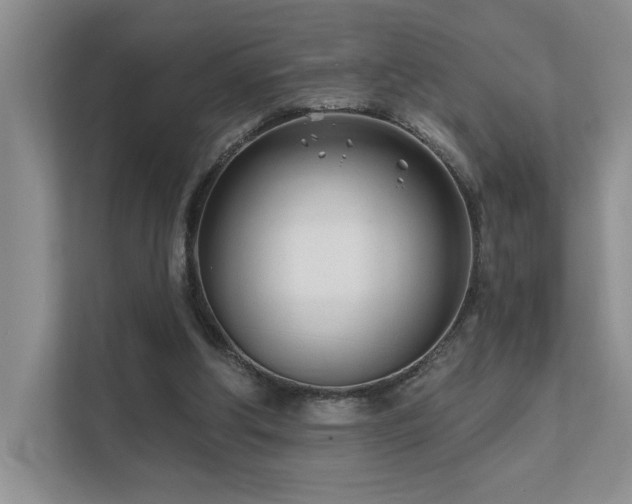 X0000111670202200907171620