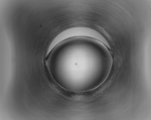 X0000111670209200907171620