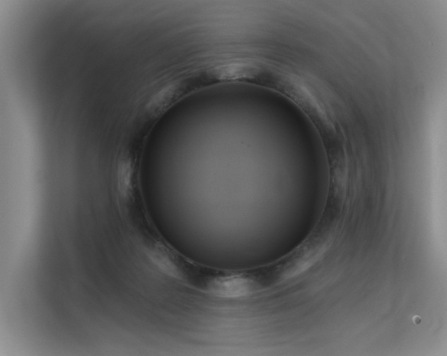 X0000111670219200907171620