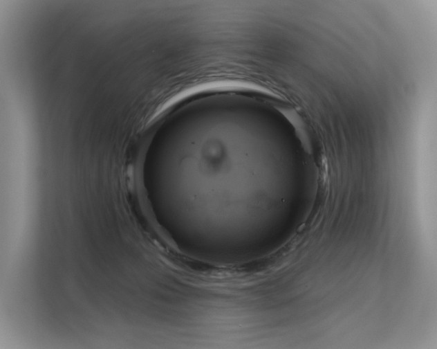 X0000111670223200907171620