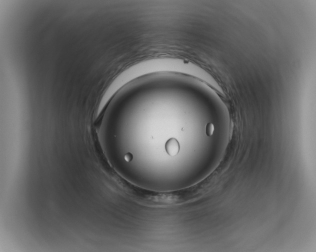 X0000111670225200907171620