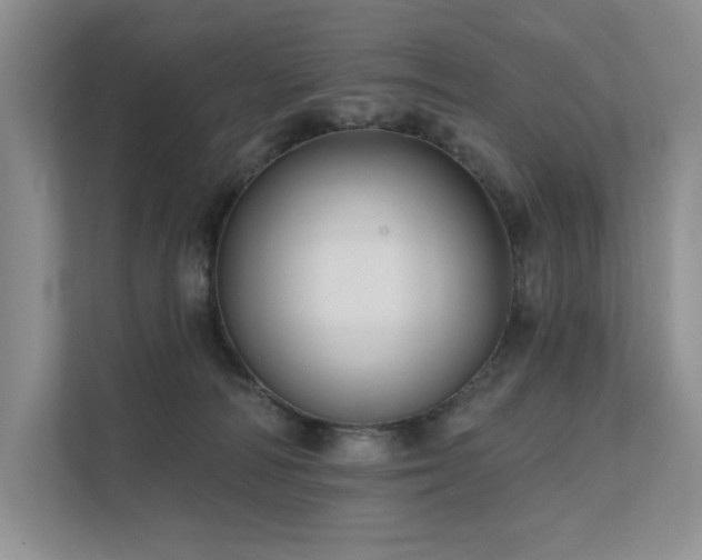 X0000111670226200907171620