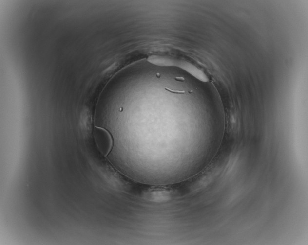 X0000111670228200907171620