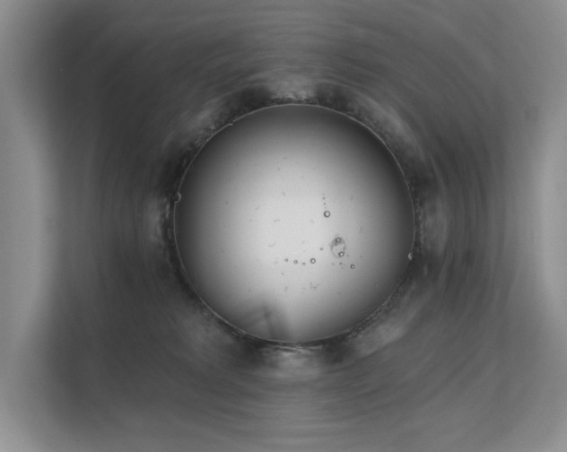 X0000111670229200907171620