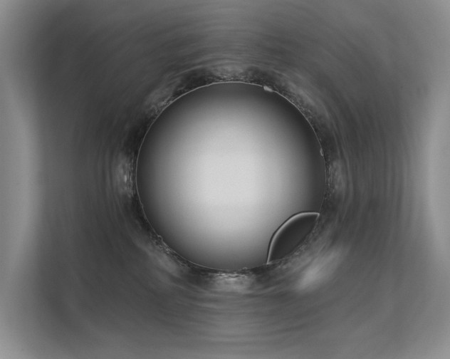 X0000111670234200907171620