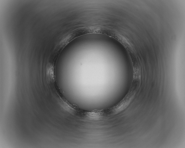 X0000111670238200907171620