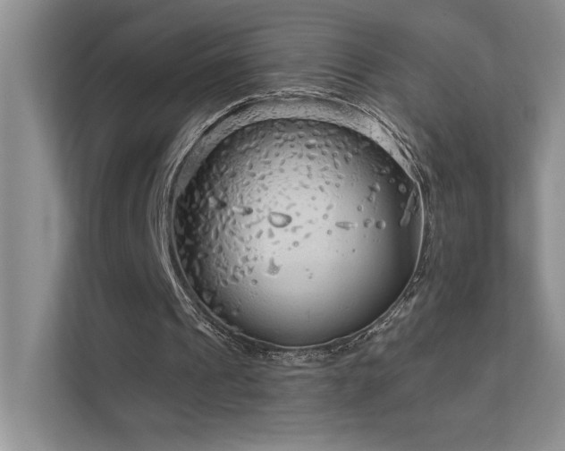 X0000111670241200907171619