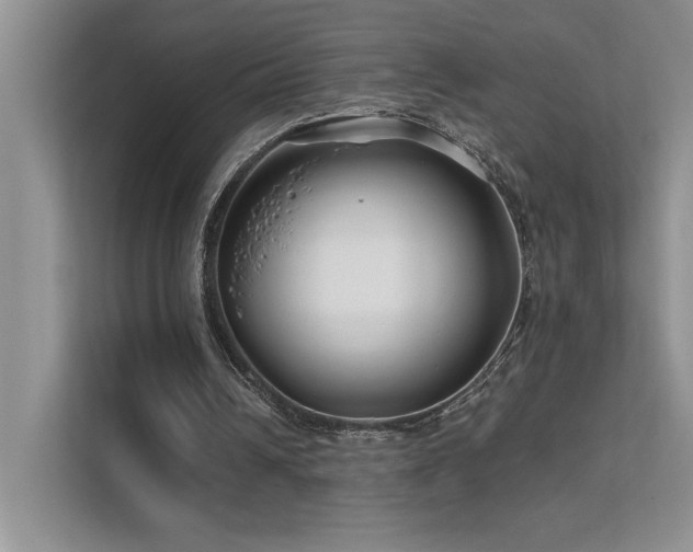 X0000111670242200907171619