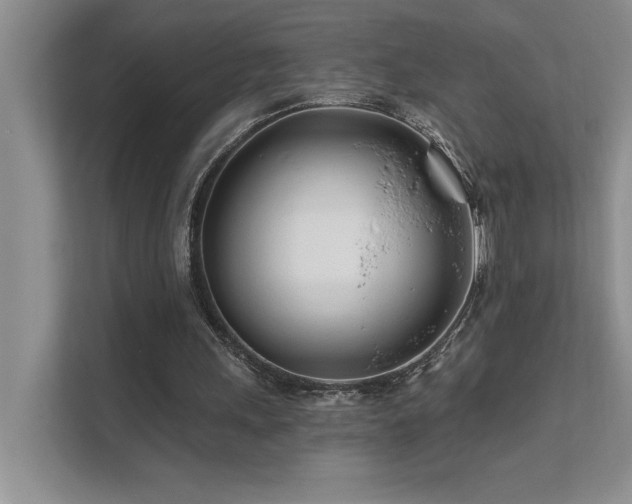 X0000111670243200907171619