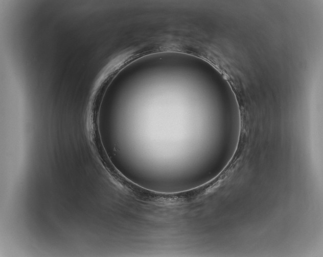 X0000111670245200907171619