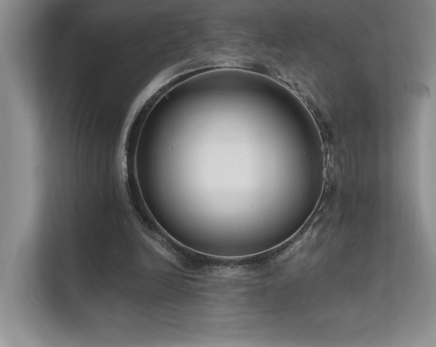 X0000111670246200907171619