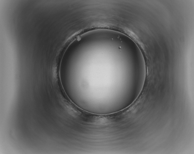 X0000111670249200907171619