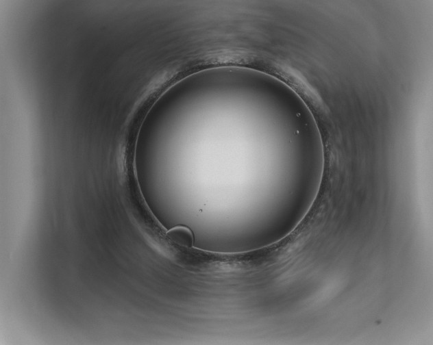 X0000111670250200907171619