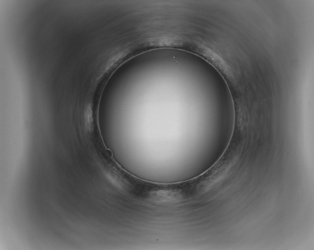 X0000111670251200907171619