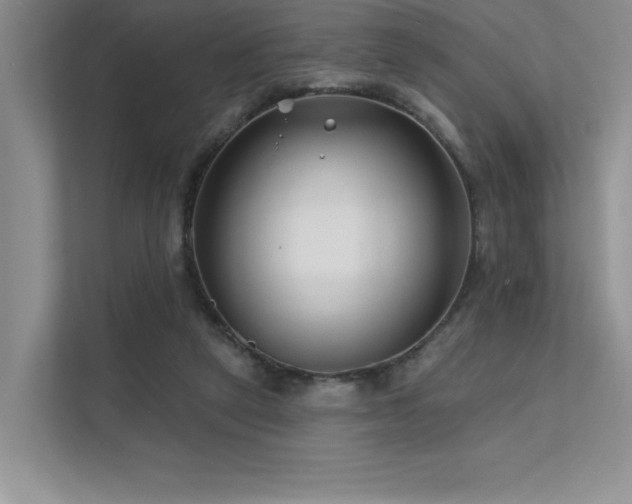 X0000111670257200907171619