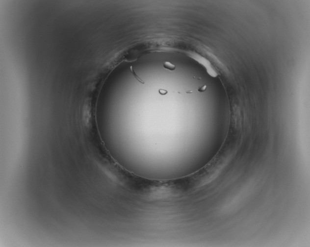 X0000111670259200907171619