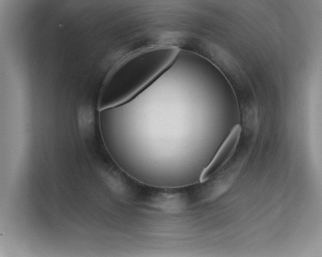 X0000111670260200907171619