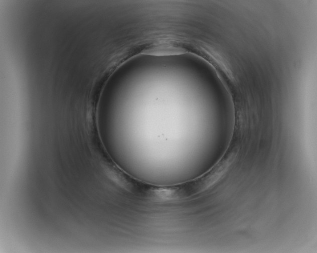 X0000111670265200907171619