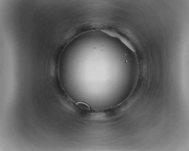 X0000111670266200907171619