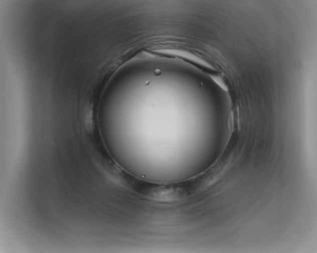 X0000111670267200907171619