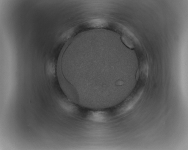 X0000111670268200907171619