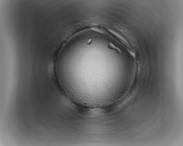 X0000111670269200907171619