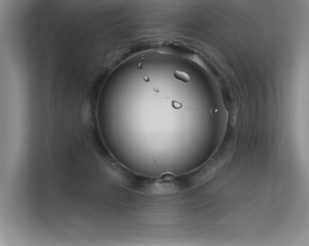 X0000111670270200907171619