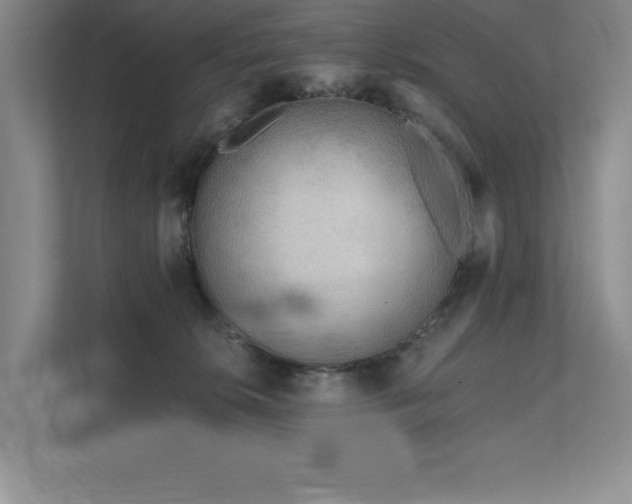 X0000111670276200907171620