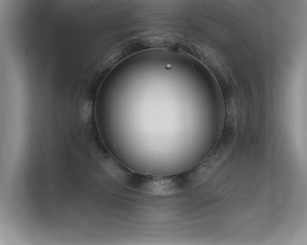 X0000111670278200907171620